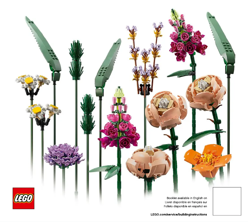 Page 1 de la notice Consignes visuelles Lego Icons 10280