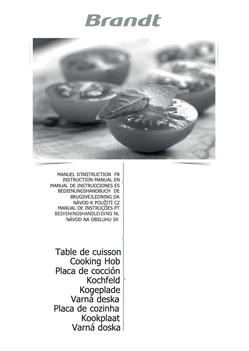 Page 1 de la notice Manuel utilisateur Brandt BPI6312B