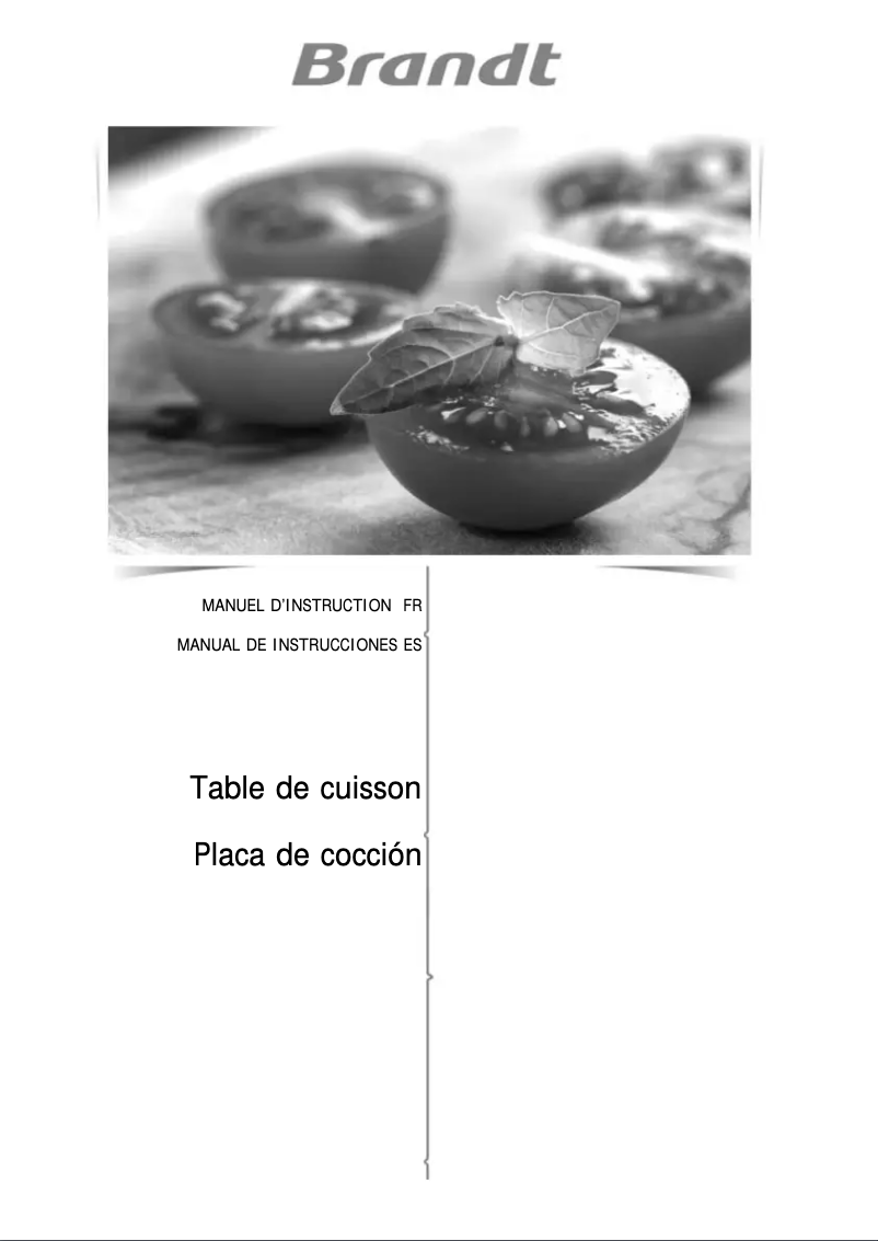 Image de la première page du manuel de l'appareil BPI6464B