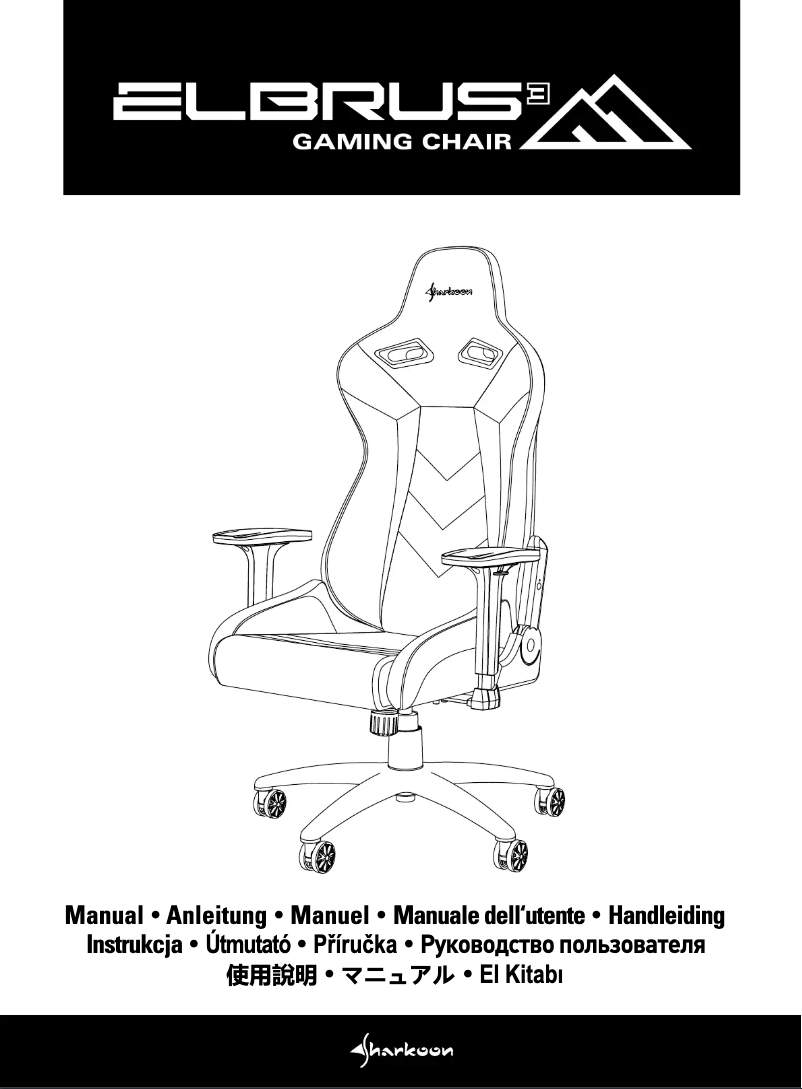 Image de la première page du manuel de l'appareil Elbrus 3