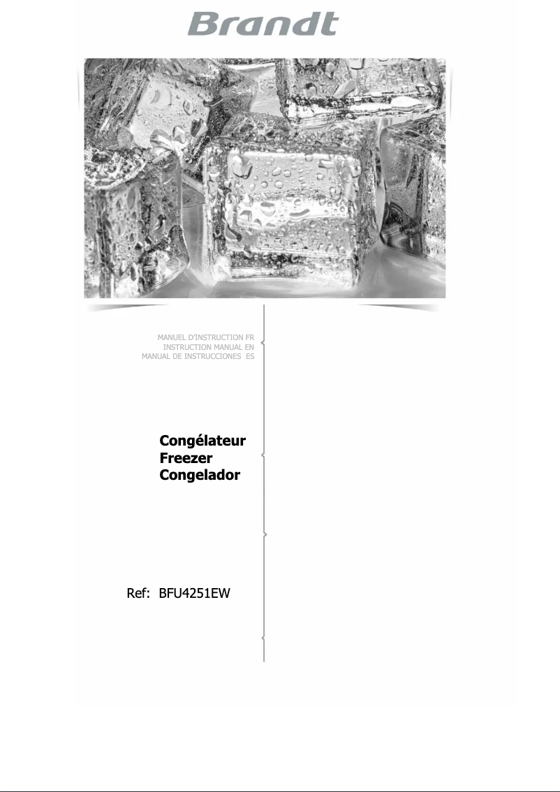 Image de la première page du manuel de l'appareil BFU4251EW