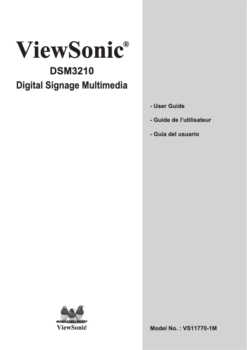 Page 1 de la notice Manuel utilisateur Viewsonic DSM3210