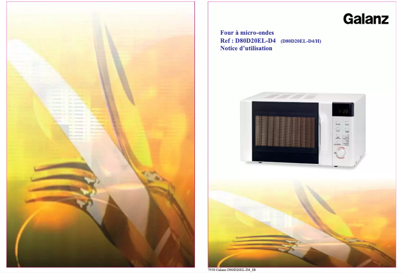 Image de la première page du manuel de l'appareil D80D20EL-D4