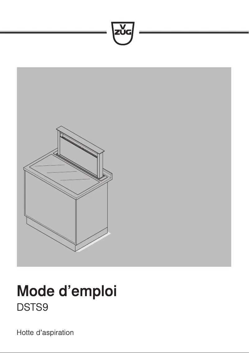 Imagen de la primera página del manual del dispositivo DSTS