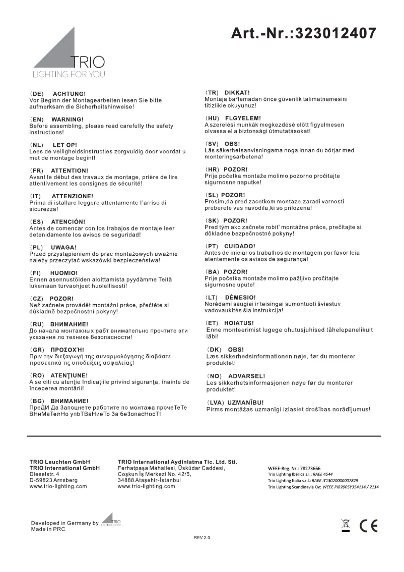 Page n°1 - Manuel utilisateur Trio Lighting Messina 323012407