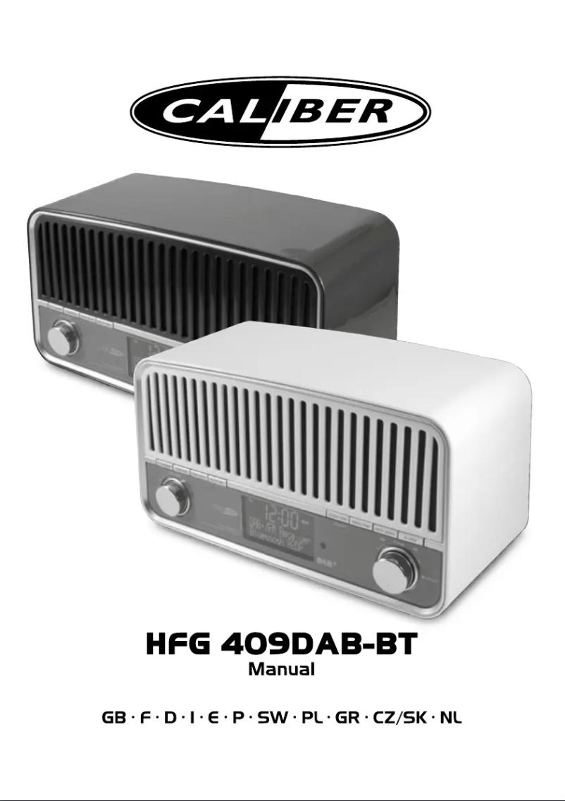 Image de la première page du manuel de l'appareil HFG409DBT