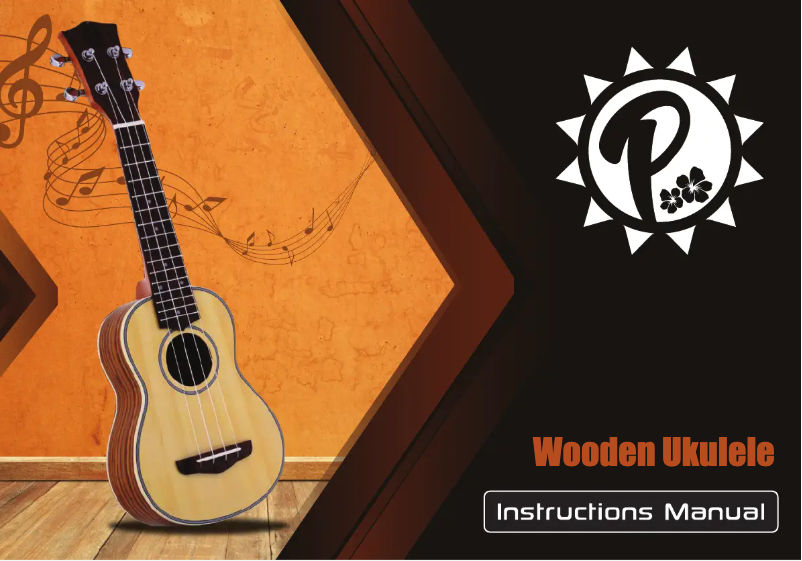 Page 1 de la notice Manuel utilisateur Pyle PUKT65