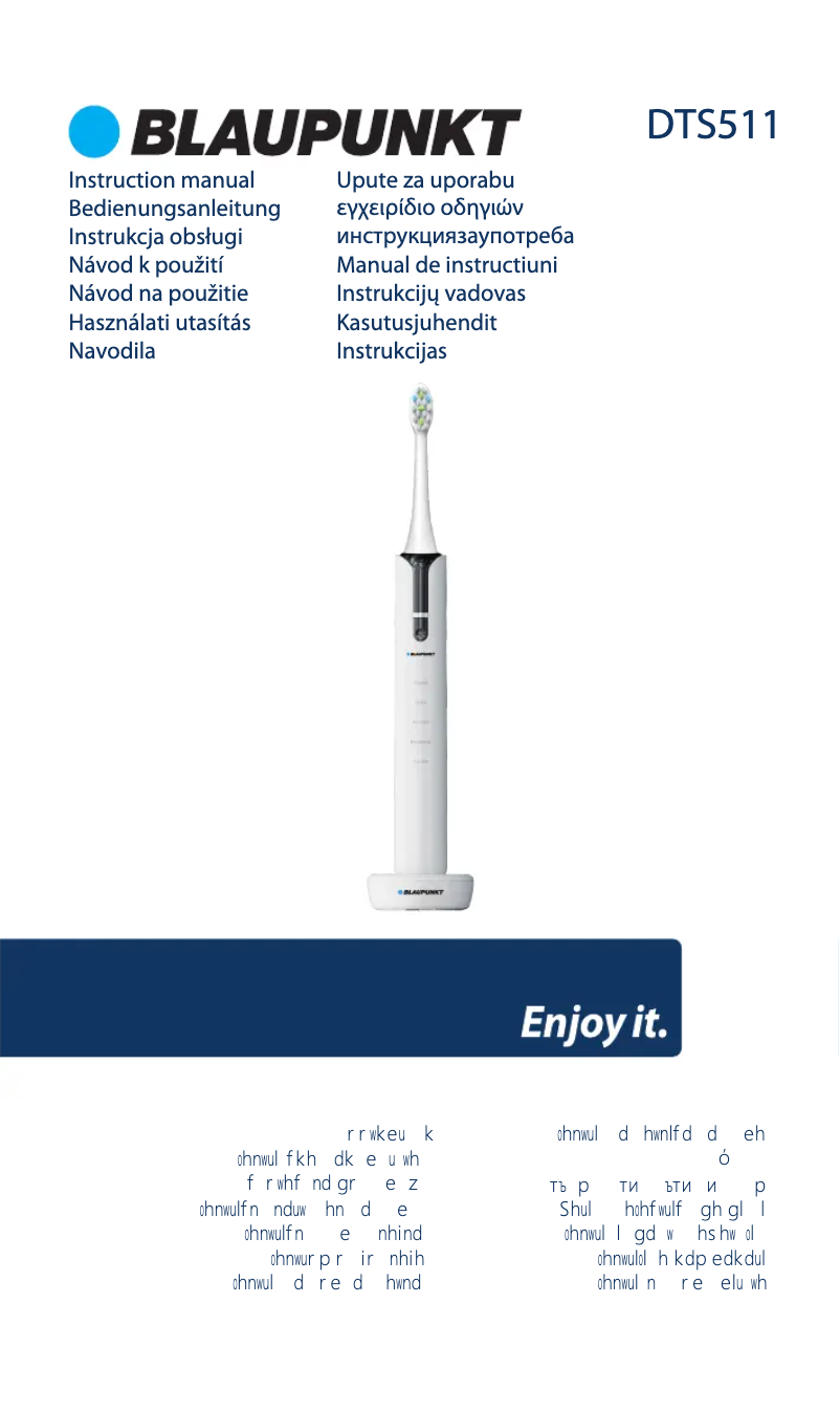 Page n°1 - Manuel utilisateur Blaupunkt DTS511