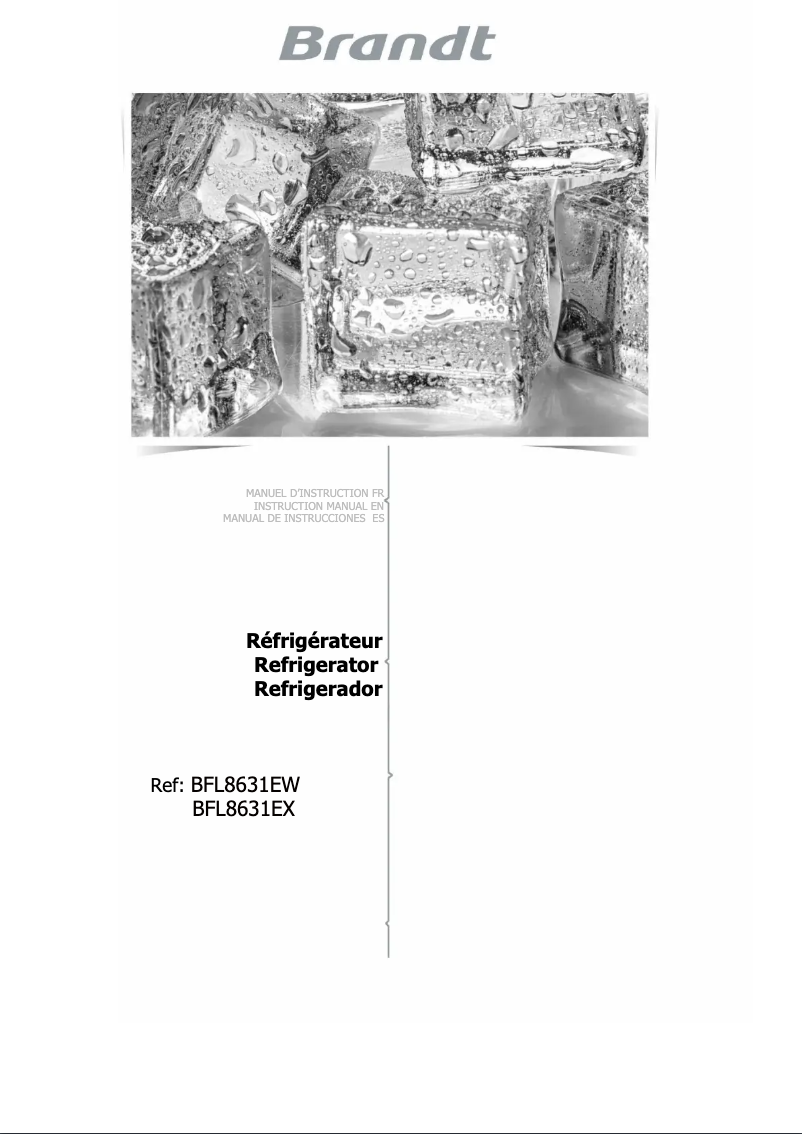 Image de la première page du manuel de l'appareil BFL8631EX