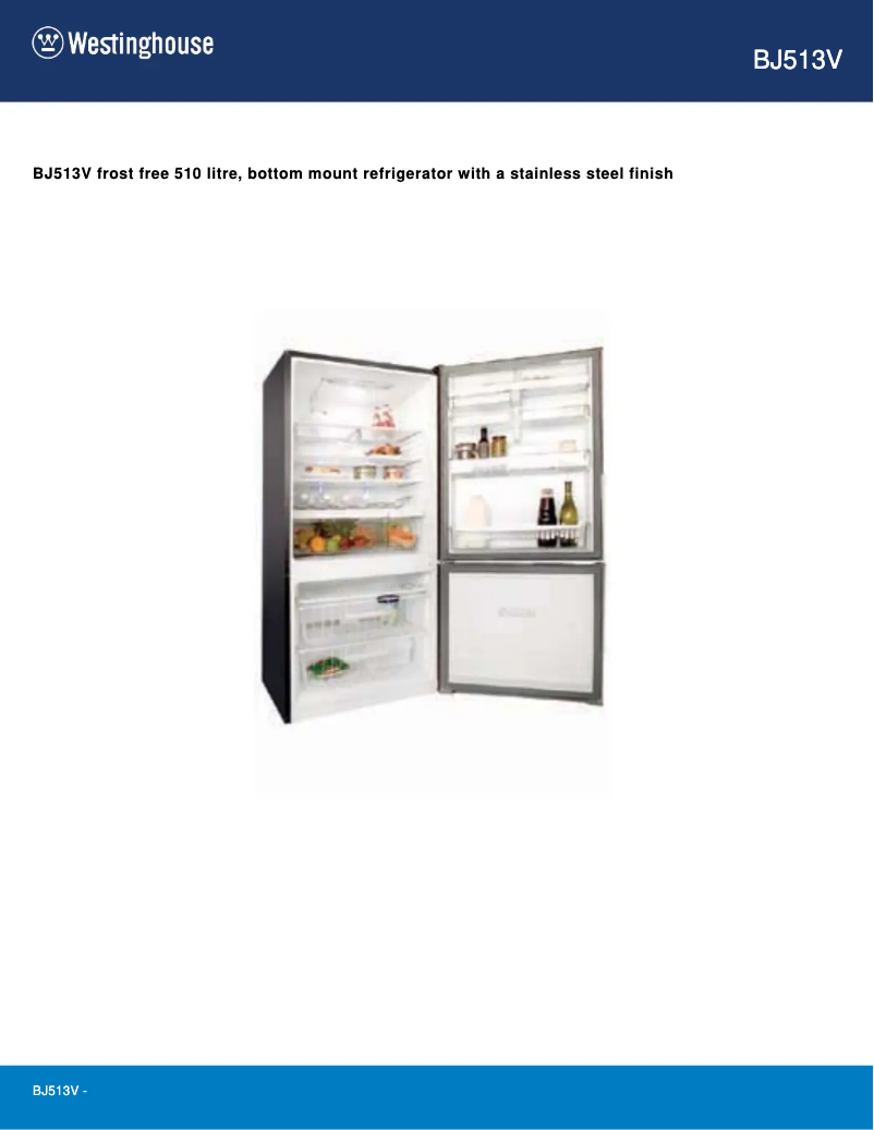 Image de la première page du manuel de l'appareil BJ513V