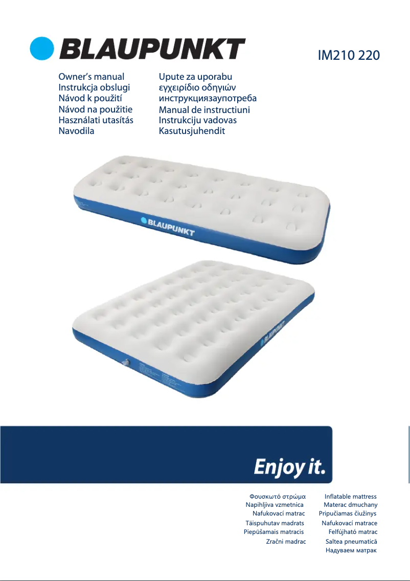 Page 1 de la notice Manuel utilisateur Blaupunkt IM210
