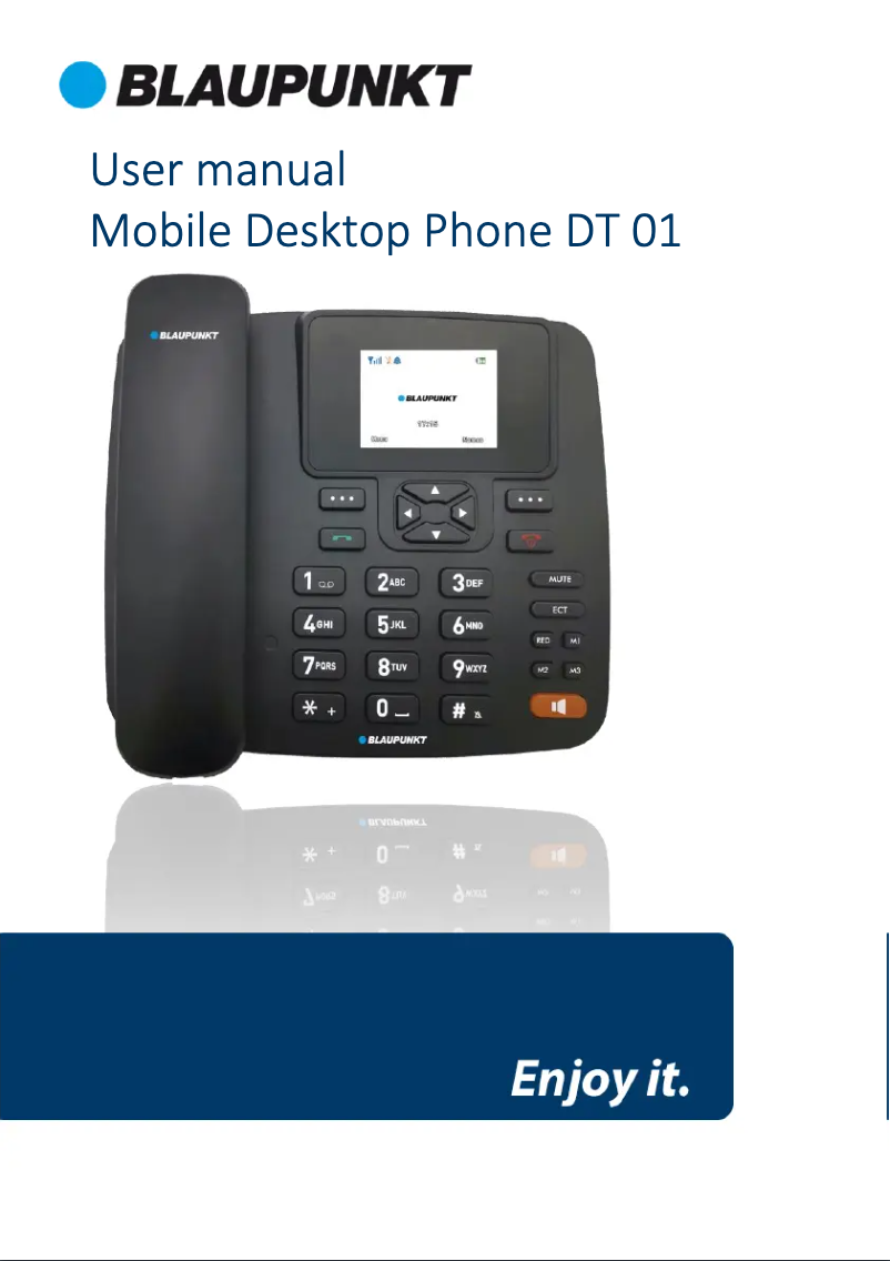 Page n°1 - Manuel utilisateur Blaupunkt DT 01