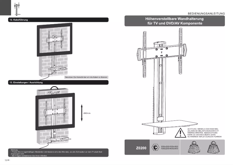 Page n°1 - Manuel utilisateur Ricoo Z0200