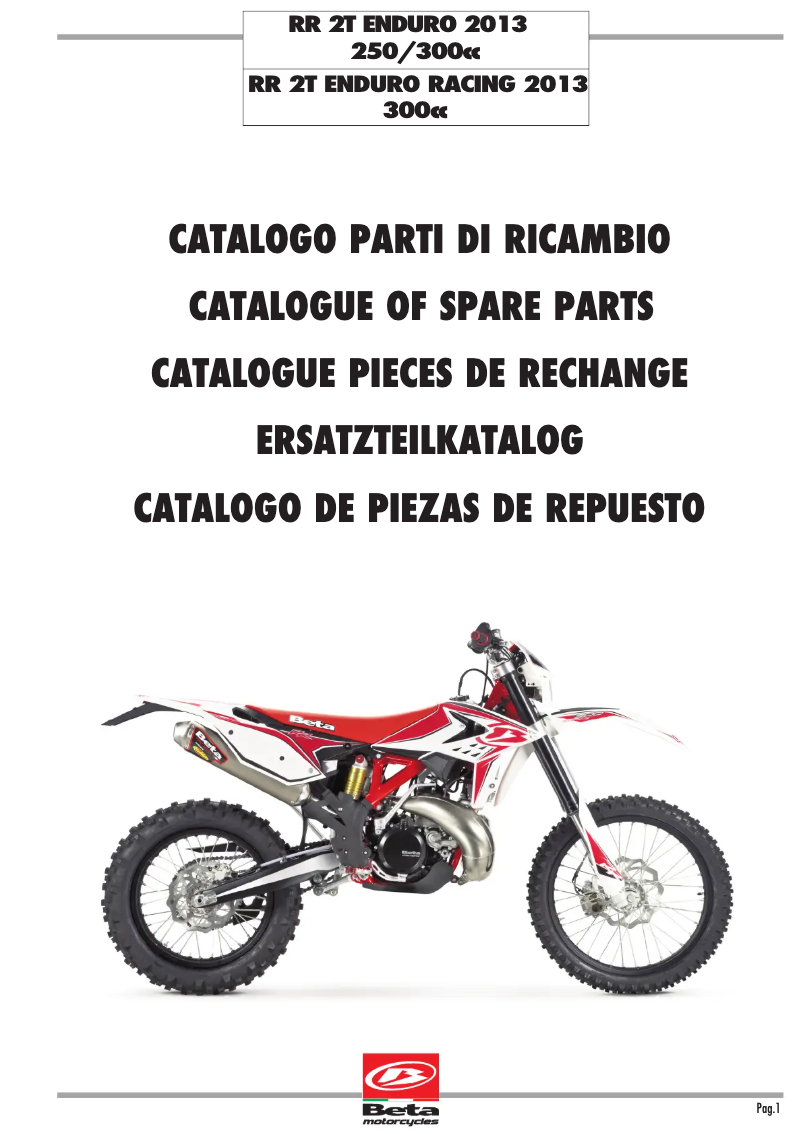 Page n°1 - Manuel utilisateur Beta RR 2T 300 (2013)
