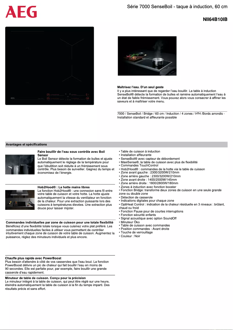 Imagen de la primera página del manual del dispositivo NII64B10IB