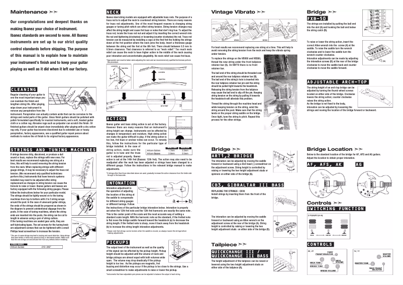 Page n°1 - Manuel utilisateur Ibanez AS73G-NT