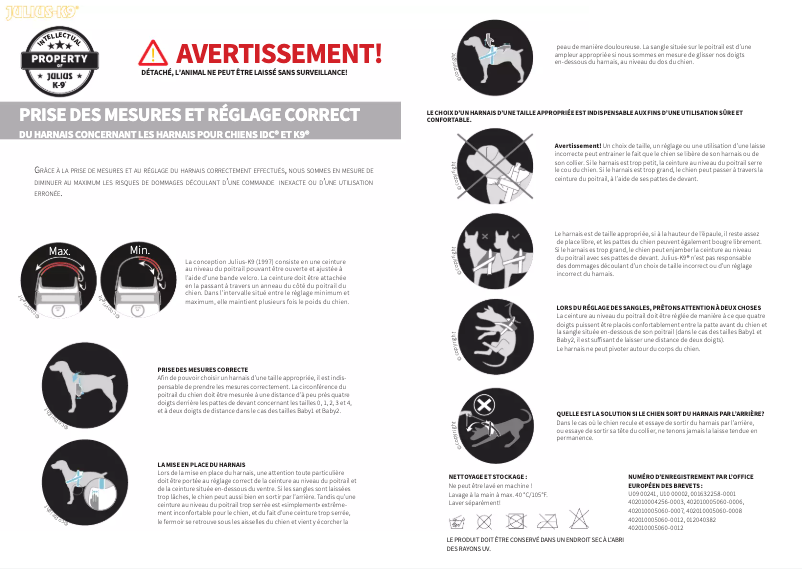 Page 1 de la notice Manuel utilisateur Julius-K9 14889