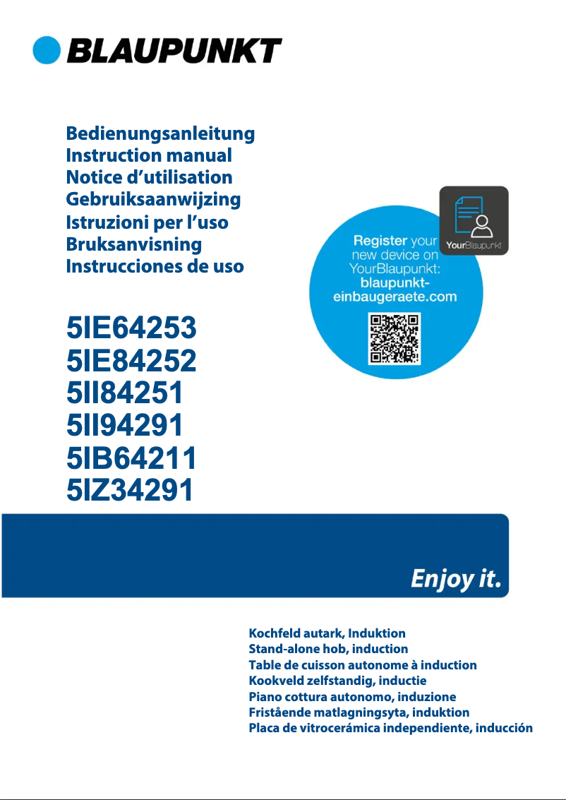 Page 1 de la notice Guide d'installation Blaupunkt 5IE64253