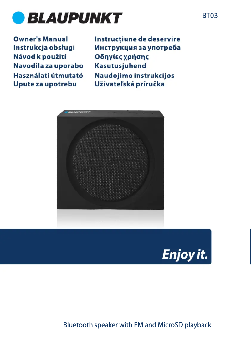 Page 1 de la notice Manuel utilisateur Blaupunkt BT03BK