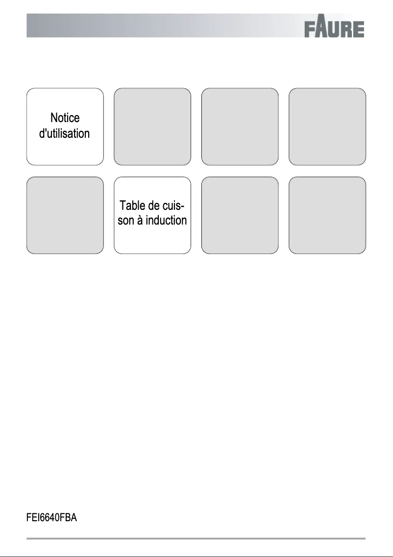 Image de la première page du manuel de l'appareil FEI6640FBA