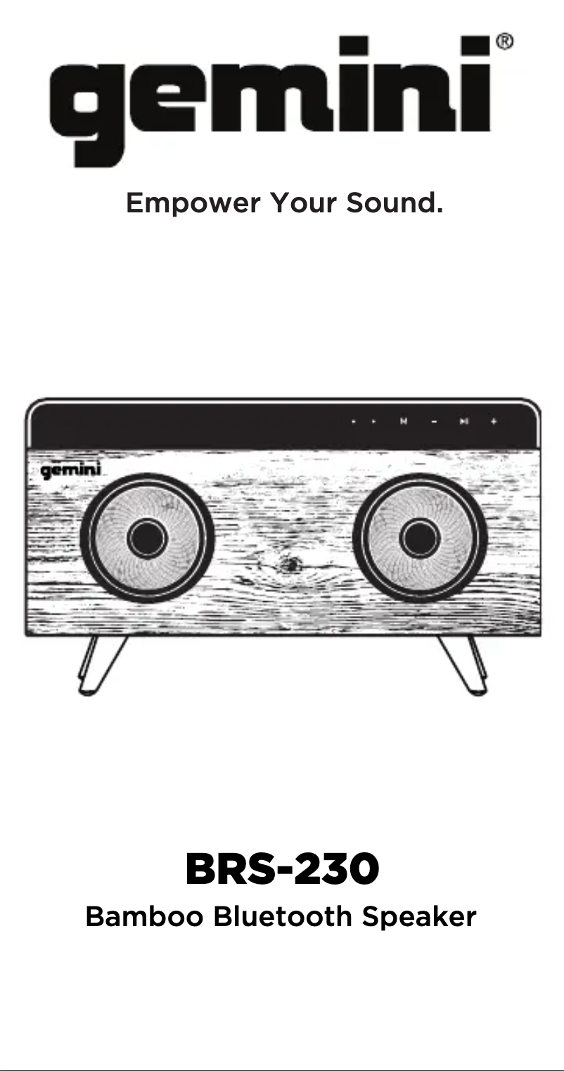 Page 1 de la notice Manuel utilisateur Gemini BRS-230