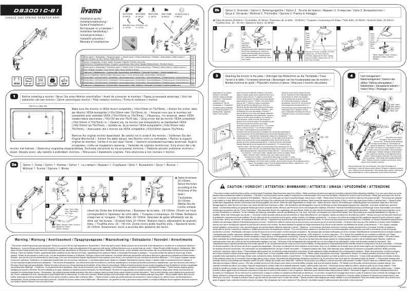 Page 1 de la notice Manuel utilisateur Iiyama DSG3001C-R1