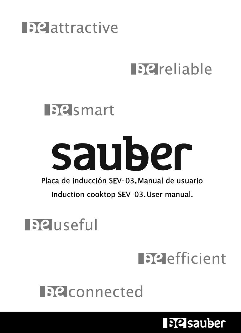 Page 1 de la notice Manuel utilisateur Sauber SEV-03