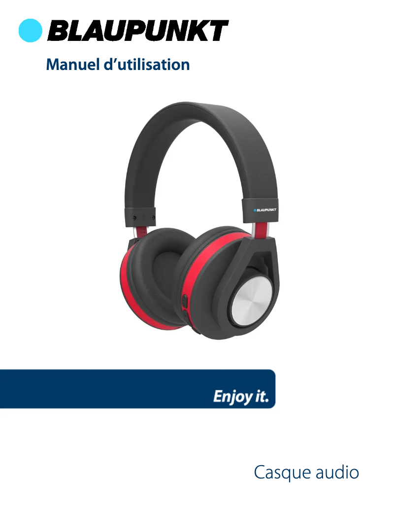 Image de la première page du manuel de l'appareil BLP4210