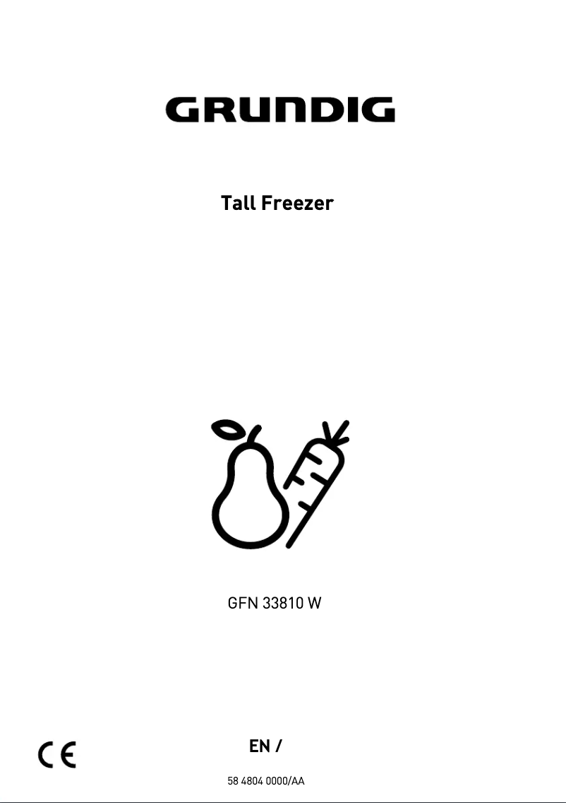 Page 1 de la notice Manuel utilisateur Grundig GFN33810