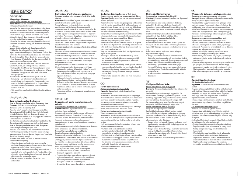 Page 1 de la notice Manuel utilisateur Ernesto IAN 43018