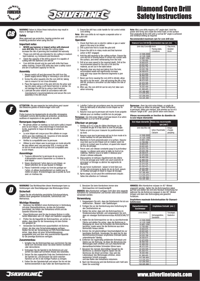 Page 1 de la notice Manuel utilisateur Silverline 868562