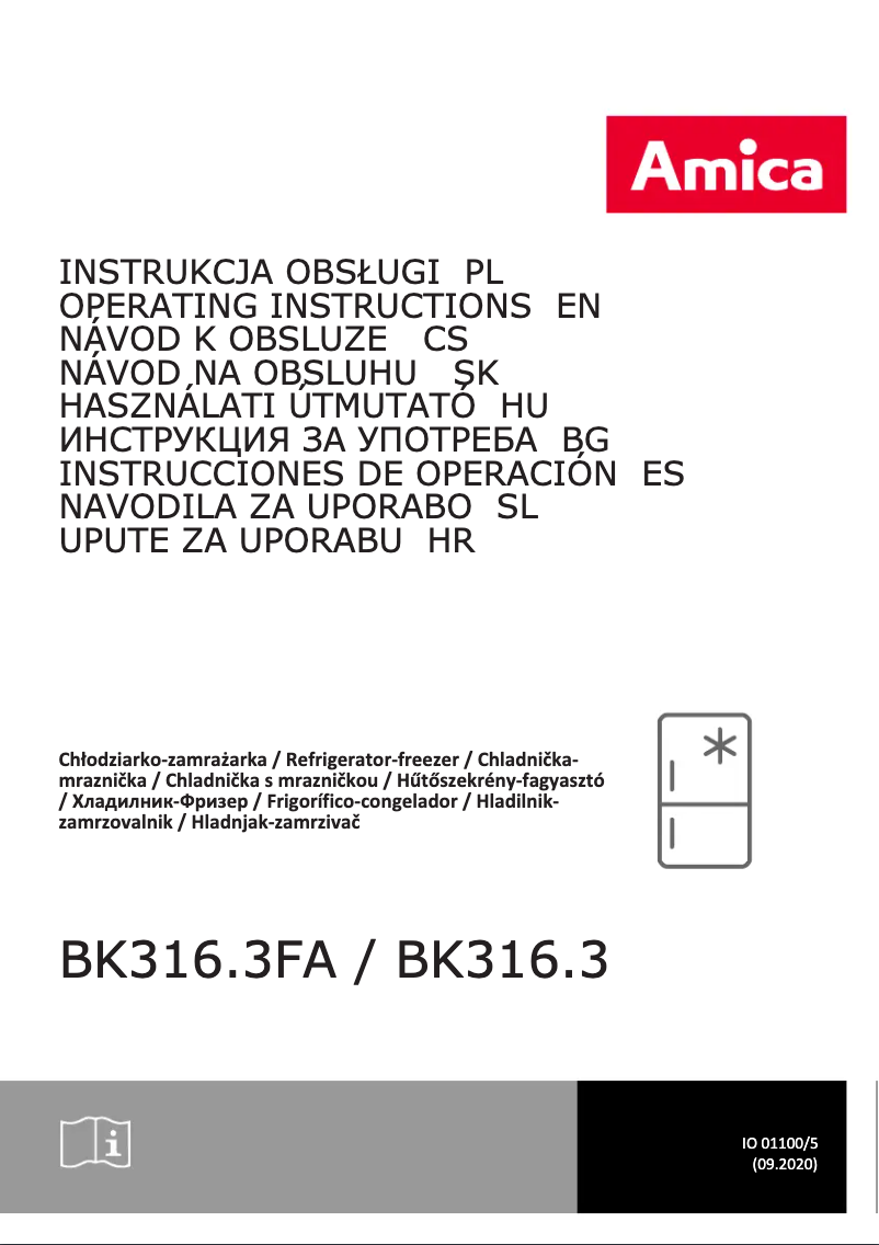 Imagen de la primera página del manual del dispositivo BK316.3FA
