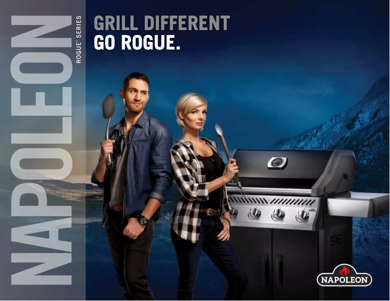 Page n°1 - Brochure Napoleon Rogue 425 SIB