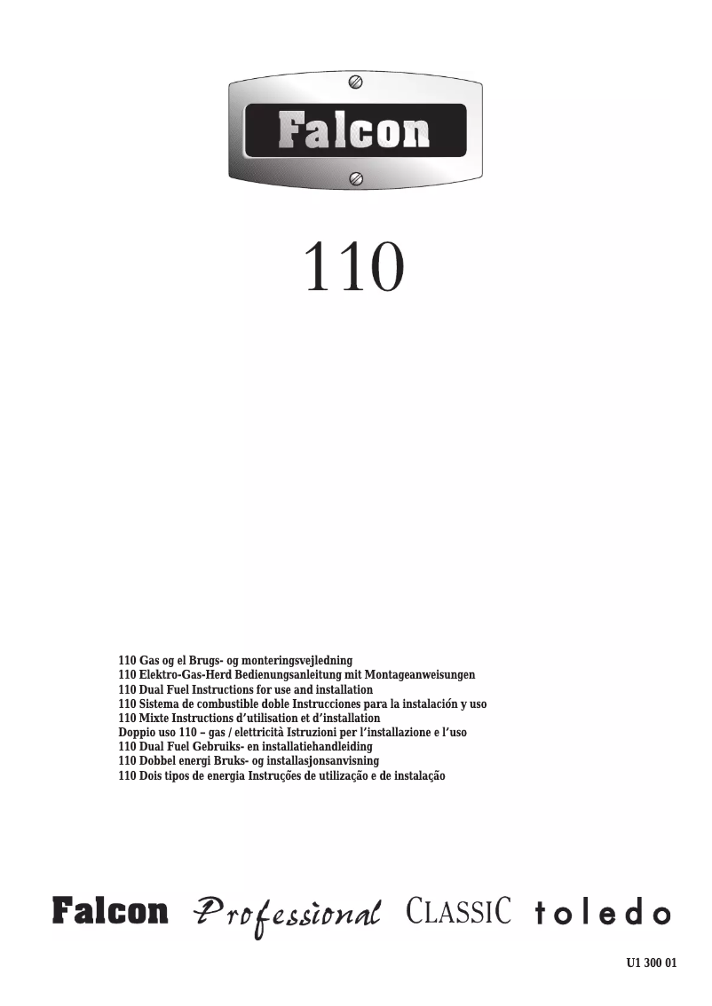 Page 1 de la notice Manuel utilisateur Falcon Professional plus 110