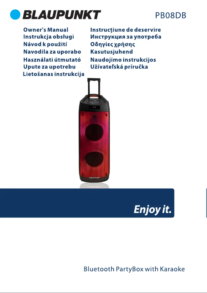 Page n°1 - Manuel utilisateur Blaupunkt PB08DB