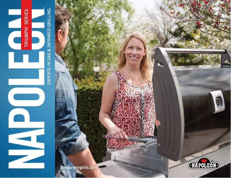 Page 1 de la notice Fiche technique Napoleon Triumph T495