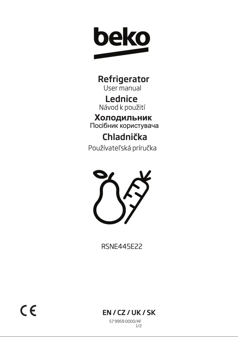 Image de la première page du manuel de l'appareil RSNE 445 E22