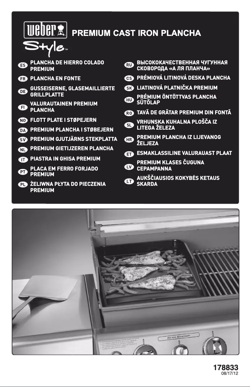 Page 1 de la notice Manuel utilisateur Weber Style