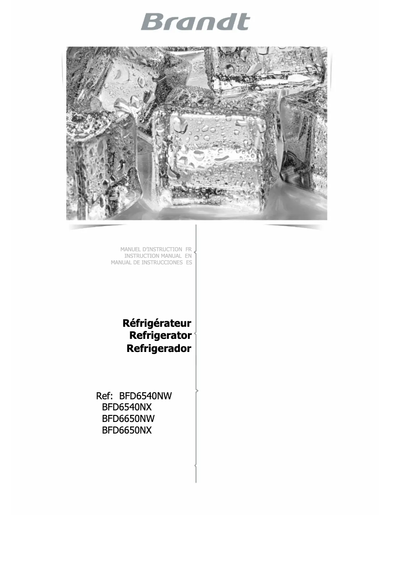 Image de la première page du manuel de l'appareil BFD6540NX