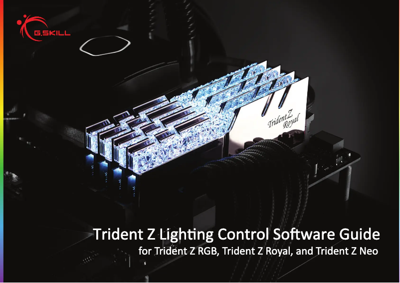 Image de la première page du manuel de l'appareil Trident Z Royal