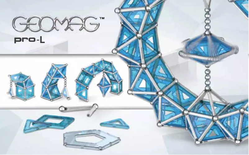 Page 1 de la notice Manuel utilisateur Geomag Pro-L 110