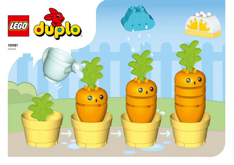 Page 1 de la notice Manuel utilisateur Lego Duplo 10981