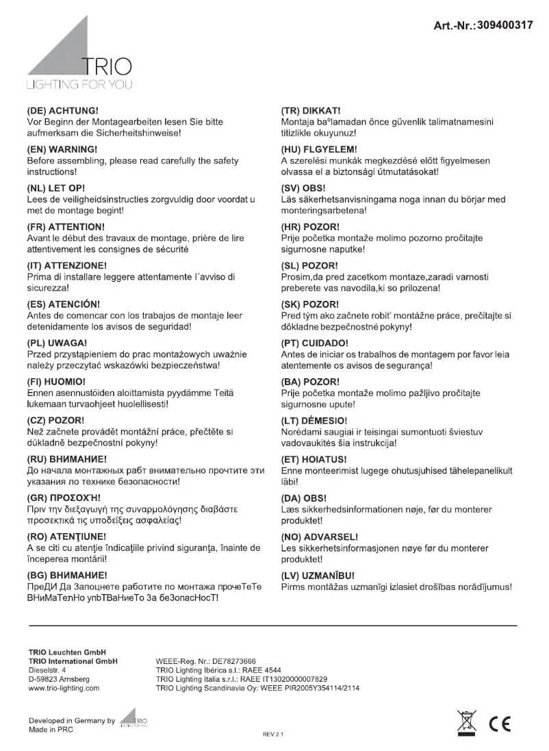 Page n°1 - Manuel utilisateur Trio Lighting Ibis 309400317