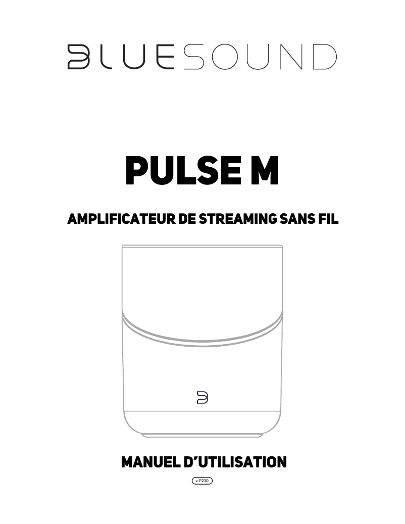 Page 1 de la notice Manuel utilisateur Bluesound Pulse M