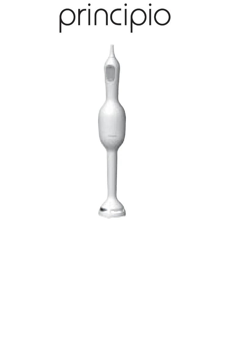 Page n°1 - Manuel utilisateur Tefal Turbomix 5423053