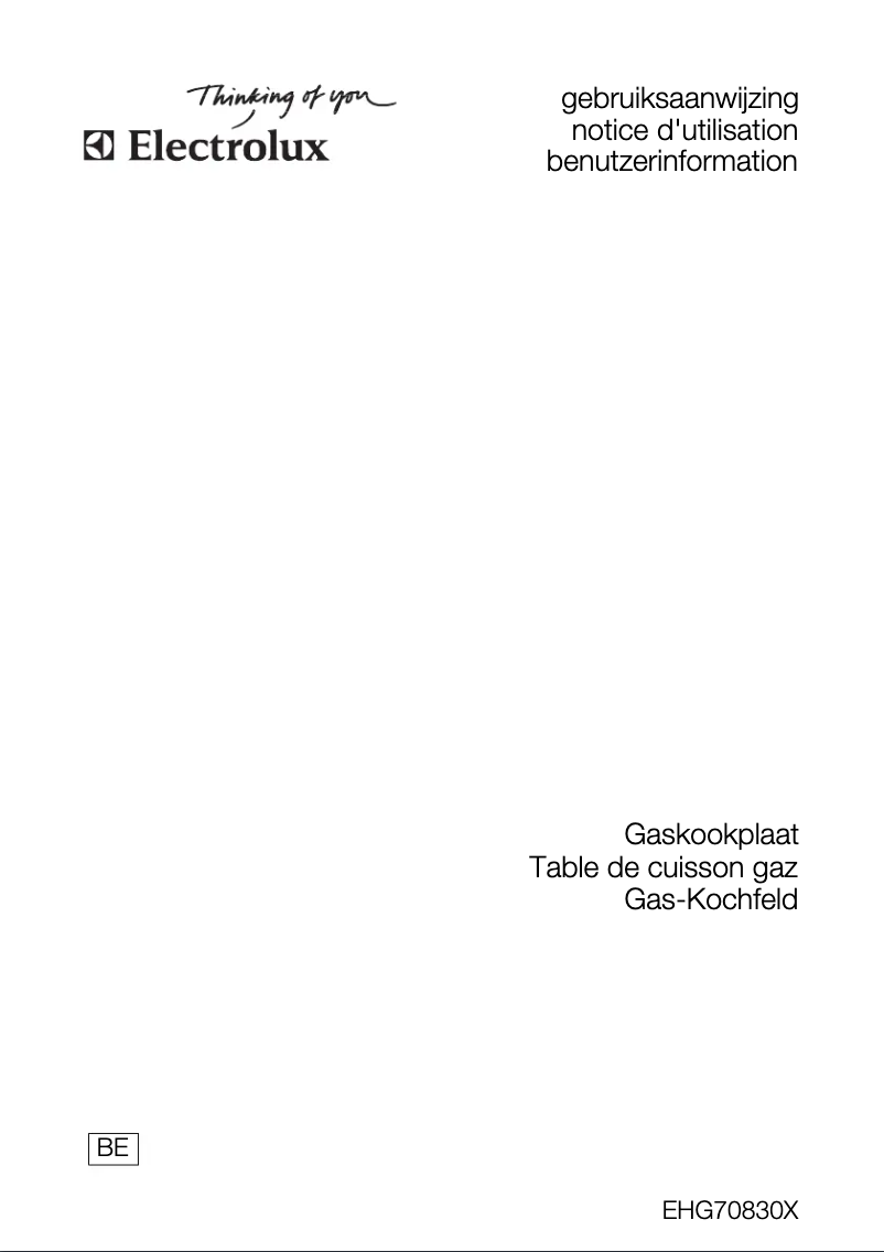 Page 1 de la notice Manuel utilisateur Electrolux EHG70830X
