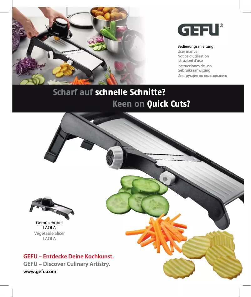 Page 1 de la notice Manuel utilisateur GEFU LAOLA