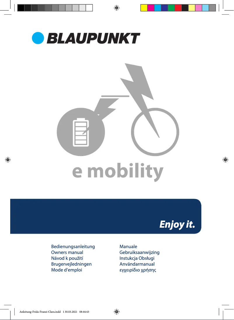Page 1 de la notice Manuel utilisateur Blaupunkt MINNA