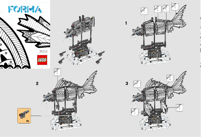 Image de la première page du manuel de l'appareil Forma 81003