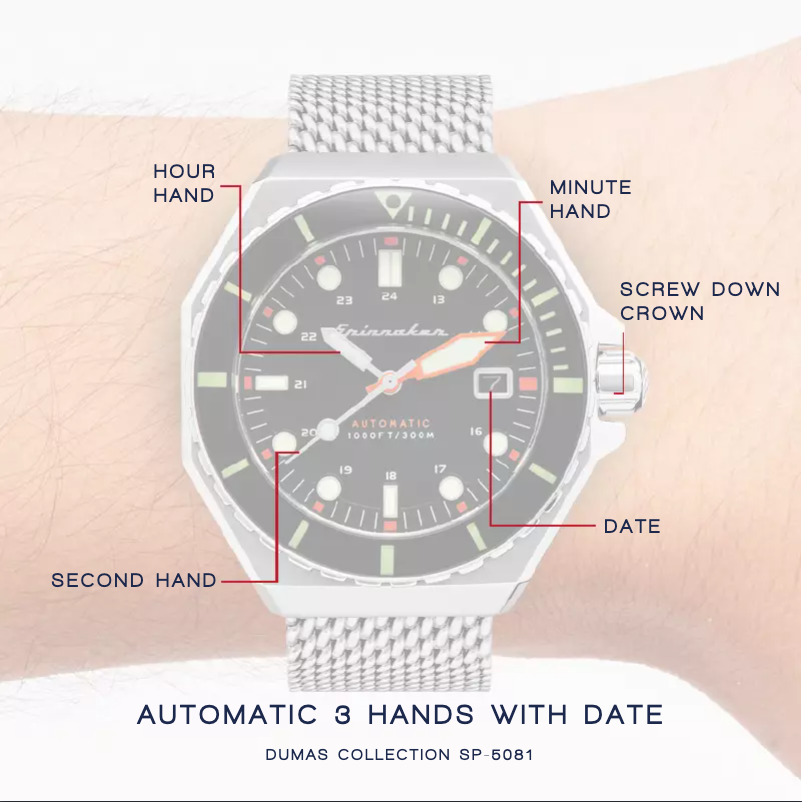 Page 1 de la notice Manuel utilisateur Spin Master Dumas SP-5081-66